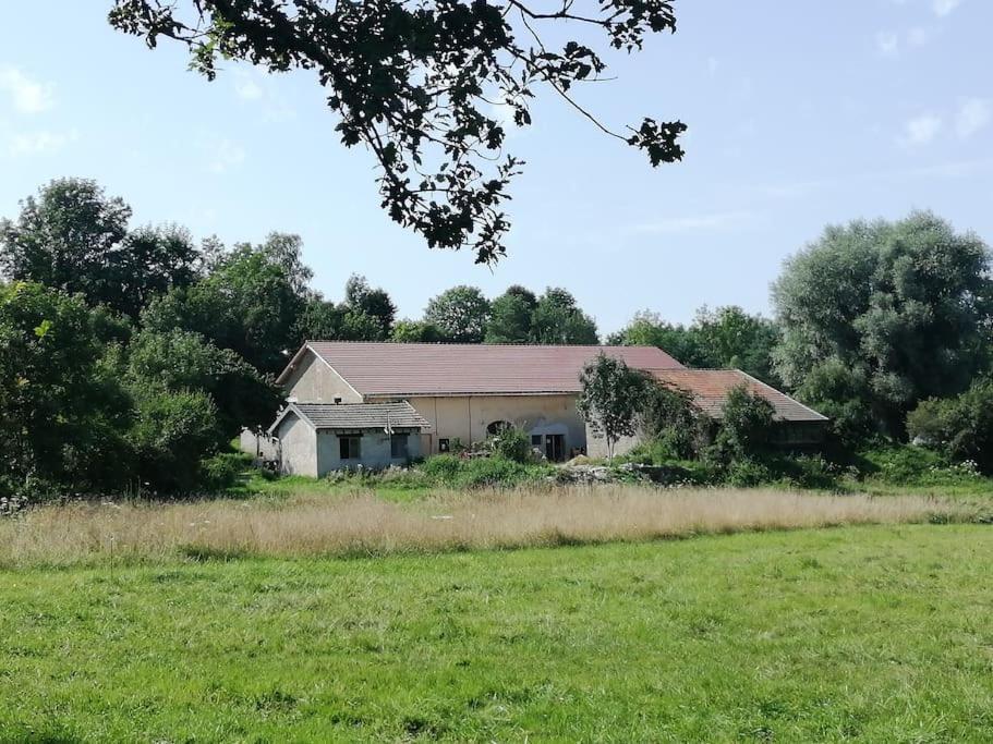 Apartamento Studio Aux Granges Du Vilaret Clairvaux-les-Lacs Exterior foto